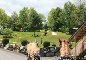 Looking out on our 18 hole miniature golf course from atop our belgian horses.
